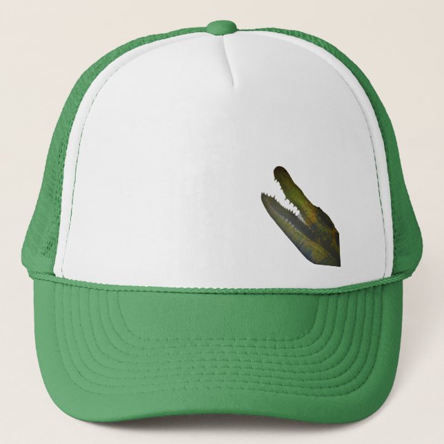 CAP ART AND DESIGN STYLE  (Front)