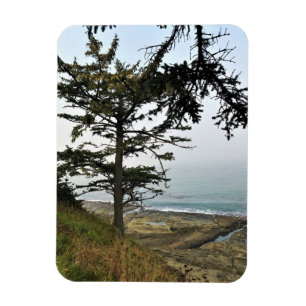 Cape Arago State Park, Oregon Coast Magnet