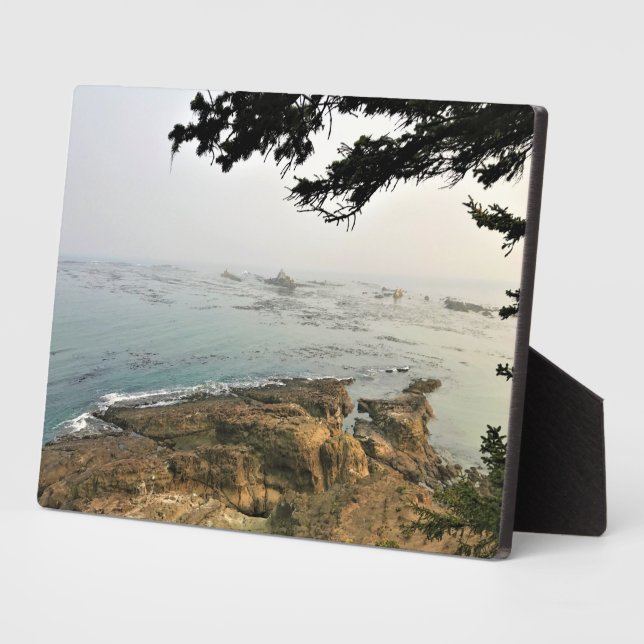 Cape Arago State Park, Oregon Coast Plaque (Side)