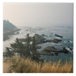 Cape Arago State Park, Oregon Coast Tile