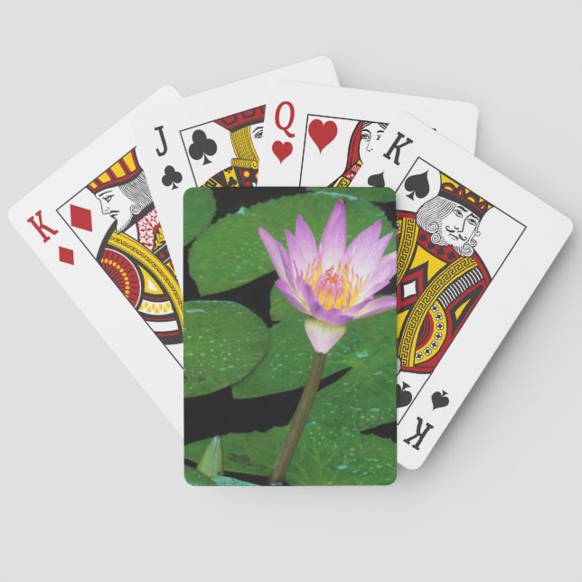Cape Blue Water Lily (Nymphaea Capensis) Playing Cards (Back)