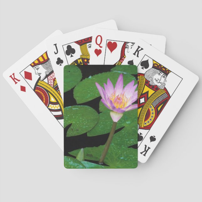 Cape Blue Water Lily (Nymphaea Capensis) Playing Cards (Back)