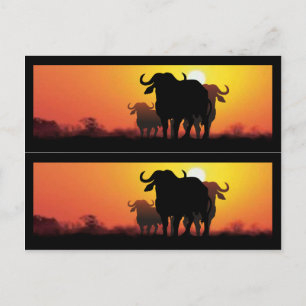 Cape Buffalo Book Markers Postcard