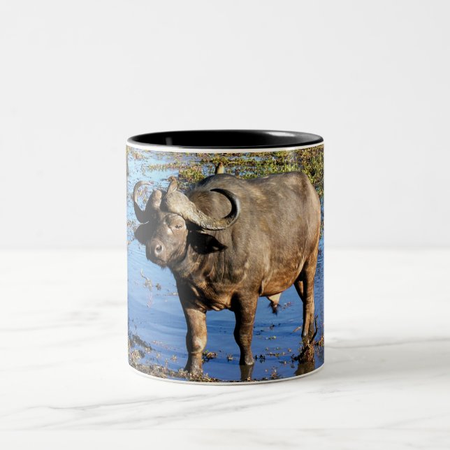 Cape Buffalo by Rowood © Two-Tone Coffee Mug (Center)