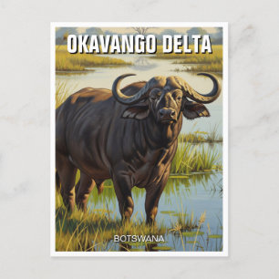 Cape Buffalo in Okavango Delta Botswana Postcard