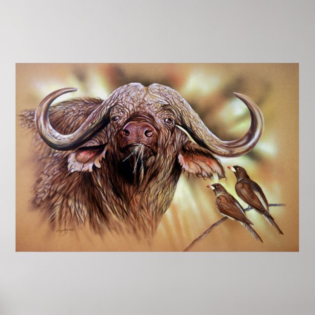 Cape Buffalo & Oxpeckers Poster (Front)
