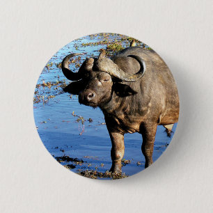 Cape Buffalo safari big 5 buttons & badges