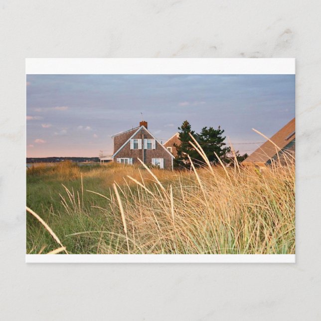 Cape Cod Beach House Postcard (Front)