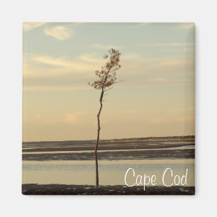 Cape Cod Beach Relaxing Sunset Photo Magnet