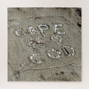 Cape Cod Beach Shells Jigsaw Puzzle
