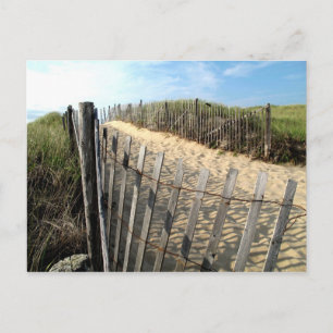 Cape Cod Dunes Postcard