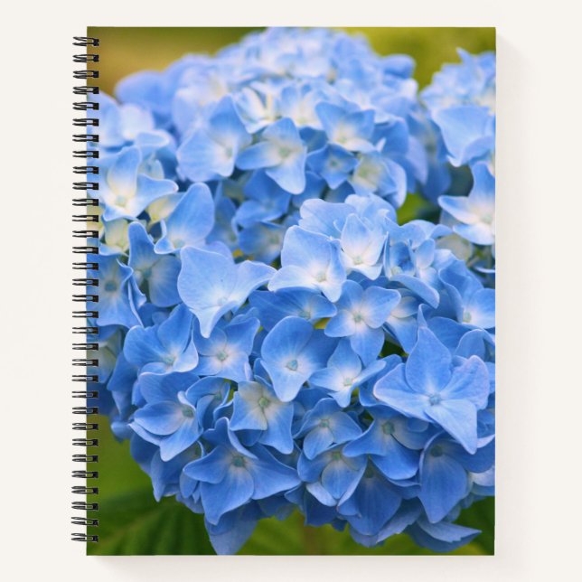CAPE COD HYDRANGEA NOTEBOOK (Front)