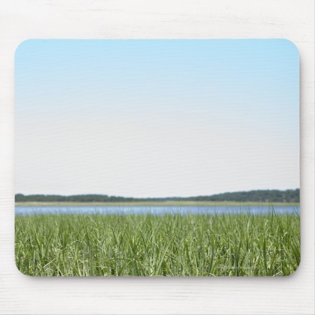Cape Cod Marsh Mouse Mat (Front)
