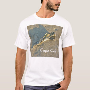 Cape Cod Massachusetts - Shell & Surf T-Shirt