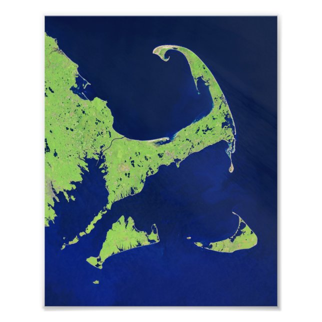 Cape Cod, Massachusetts, USA Photo Print (Front)