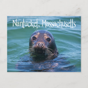 Cape Cod, Nantucket, Massachusetts Seal Postcard