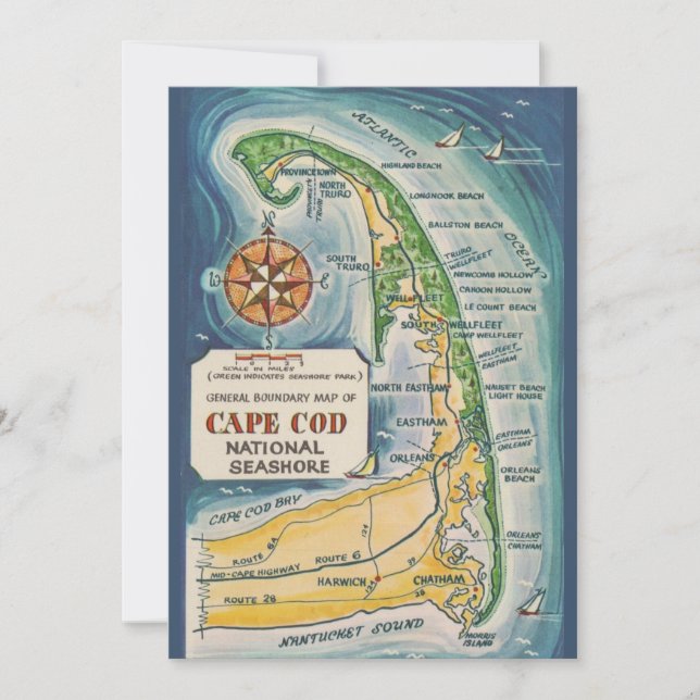 Cape Cod National Seashore 5x7 Postcard (Front)