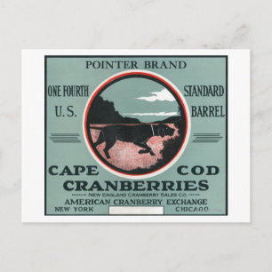 Cape Cod Pointer Brand Cranberry Label Postcard