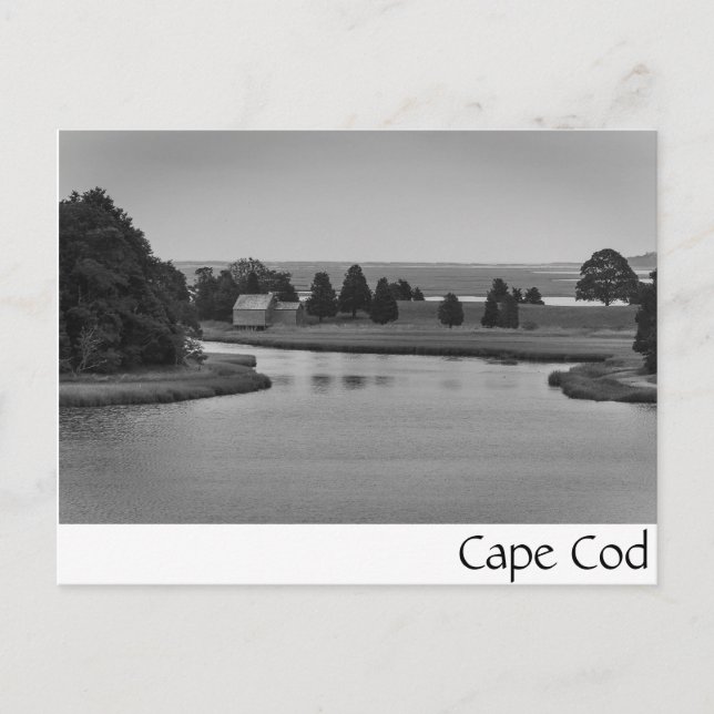 Cape Cod postcard (Front)
