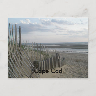 Cape Cod Postcard