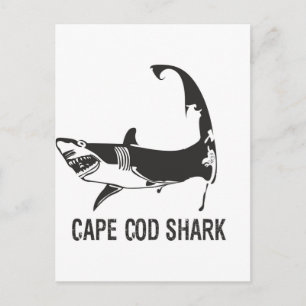 CAPE COD SHARK POSTCARD
