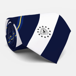 Cape Coral (Florida) city flag Neck Tie