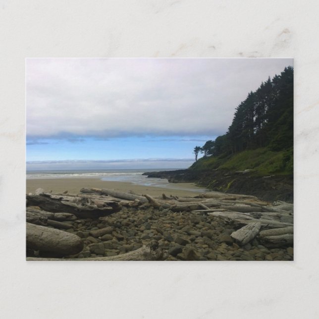 Cape Cove, Cape Perpetua, Oregon Postcard (Front)