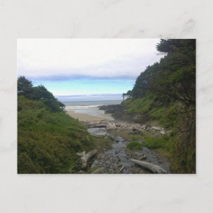 Cape Cove, Cape Perpetua, Oregon Postcard