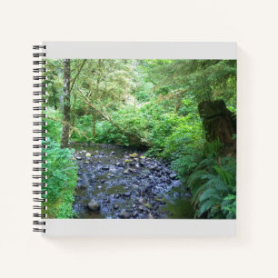 Cape Creek, Cape Perpetua, Oregon Notebook