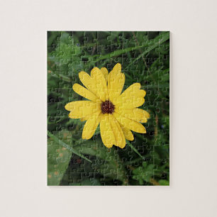 Cape Daisy (yellow flower) Jigsaw Puzzle