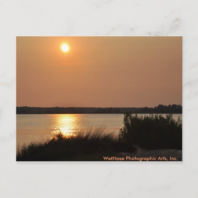 Cape Fear River Postcard (Front)