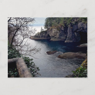 Cape Flattery Olympic Peninsula - Washington Postcard