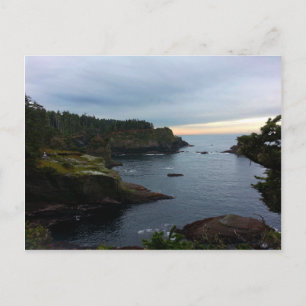 Cape Flattery Olympic Peninsula - Washington Postcard