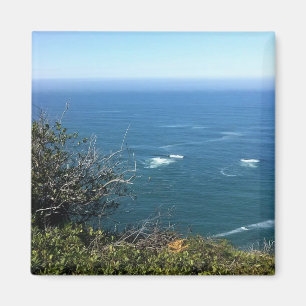 Cape Foulweather, Oregon Magnet
