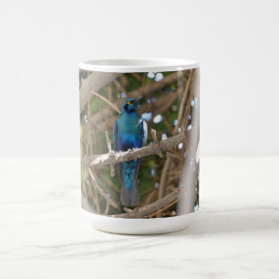 Cape Glossy Starling, Botswana, Africa Coffee Mug