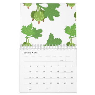 Cape Gooseberry Plant Exotic Fruit Physalis Calendar