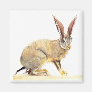 Cape Hare 2010 2 Magnet