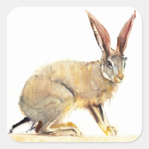 Cape Hare 2010 2 Square Sticker
