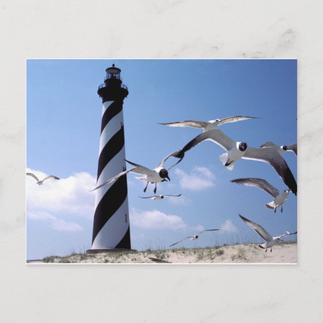 Cape Hatteras Lighthouse North Carolina lighthouse Postcard (Front)