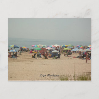 Cape Henlopen Beach Postcard