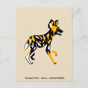 Cape hunting dog - Painted dog - Endangered animal Postcard