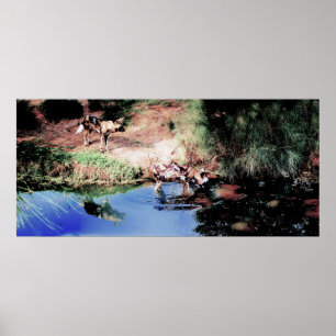 Cape Hunting Dogs Poster