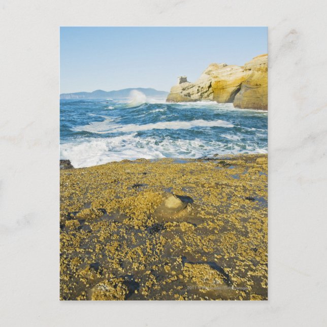 Cape Kiwanda And The Pacific Ocean Postcard (Front)