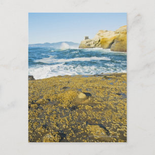 Cape Kiwanda And The Pacific Ocean Postcard