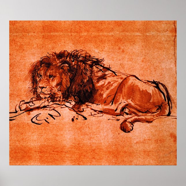 CAPE LION LYING DOWN by Rembrandt Orange Black  Poster (Front)