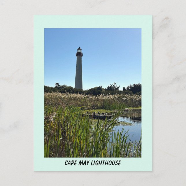 Cape May Lighthouse Photo Postcard (Front)