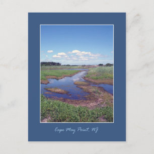Cape May Point Postcard
