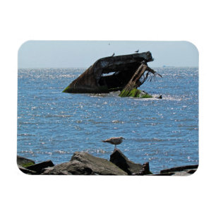 Cape May Shipwreck Magnet