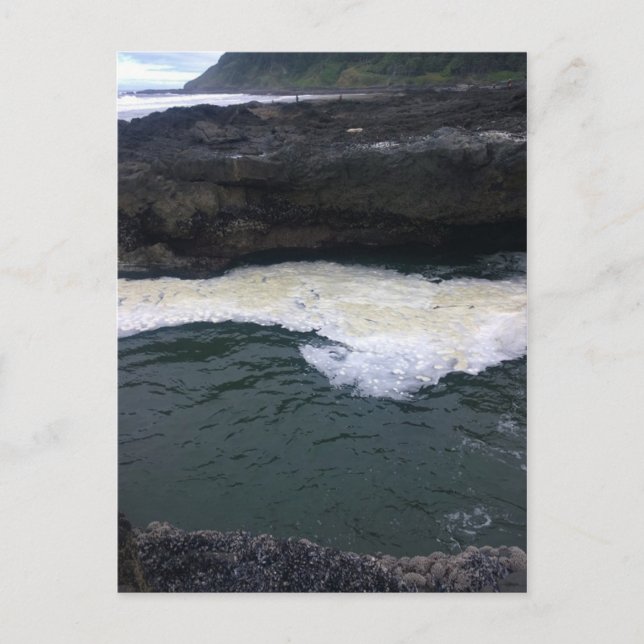 Cape Perpetua, Oregon Coast Postcard (Front)