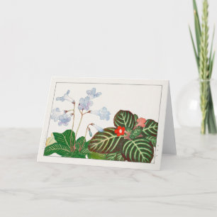 Cape primrose, Flame violet by Tanigami Konan Card